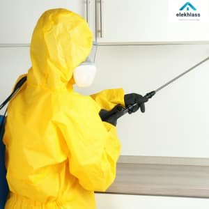 رش مبيدات حشرية ببيشة