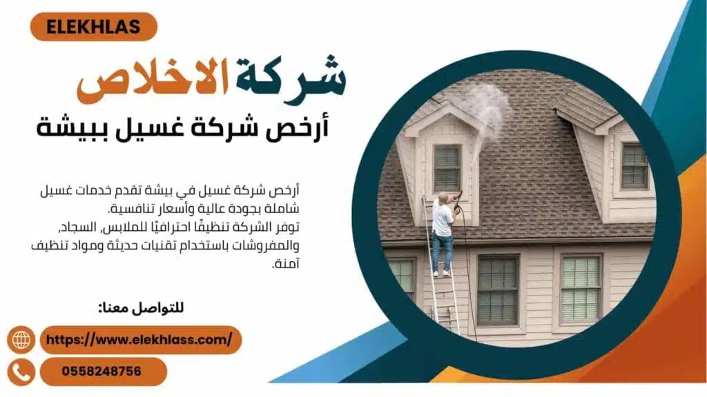 أرخص شركة غسيل ببيشة 