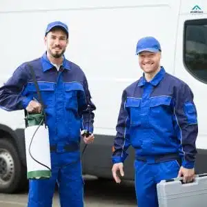 شركة مكافحة حشرات بالرس