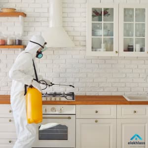 تعقيم المنازل