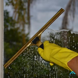 تنظيف الفلل