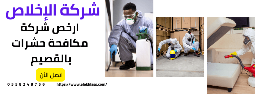 ارخص شركة مكافحة حشرات ,كافحة جميع انواع الحشرات بافضل الاسعار