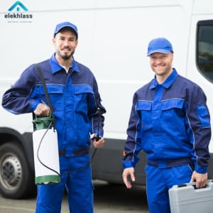 شركات مكافحة الحشرات