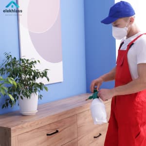 شركة مكافحة حشرات