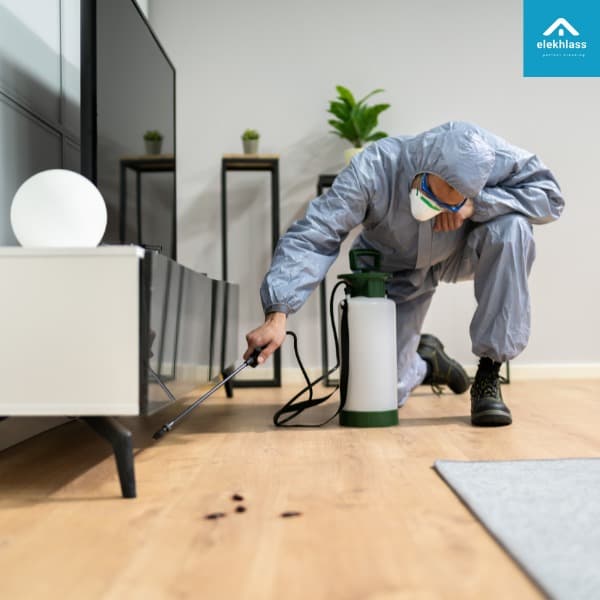 افضل شركة مكافحة حشرات بالرياض / تعد شركة الإخلاص لإبادة الحشرات في الرياض الخيار الأمثلعندما يتعلق الامر بمكافحة النمل الأبيض والصراصير في المنازل . 