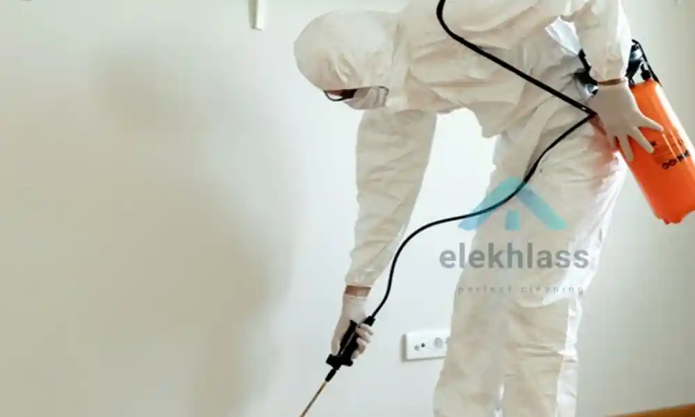 افضل شركة مكافحة حشرات بالدمام