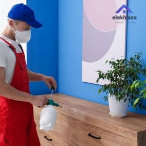 مكافحة الحشرات دون مغادرة المنزل