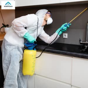 افضل شركات مكافحة الحشرات بالرياض