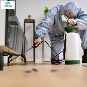 التخلص من الصراصير في المنزل