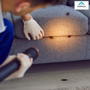 القضاء علي بق الفراش